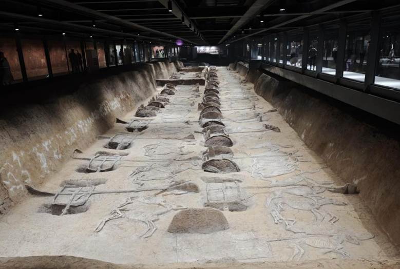 微信图片_20260417085845_921_157