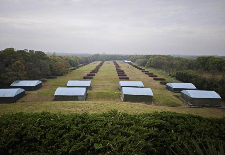 微信图片_20260417085423_920_157